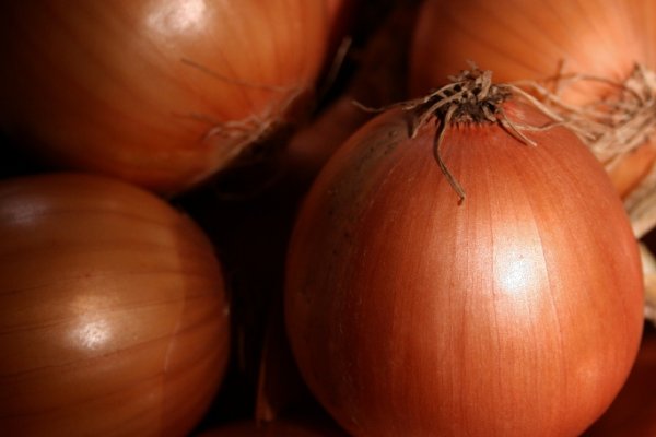 Onion сайт мега